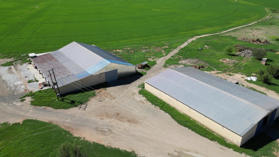 0 Bedroom Property for Sale in Douglas Rural Northern Cape